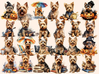 Australian Silky Terriers Watercolor Clipart australian silky png - Wonders Artist