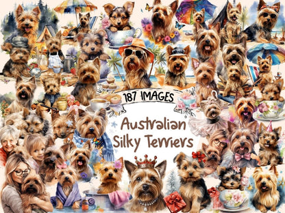 Australian Silky Terriers Watercolor Clipart australian silky png - Wonders Artist