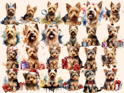 Australian Silky Terriers Watercolor Clipart australian silky png - Wonders Artist