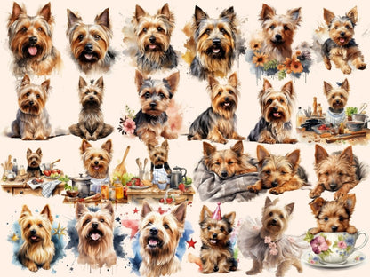 Australian Silky Terriers Watercolor Clipart australian silky png - Wonders Artist