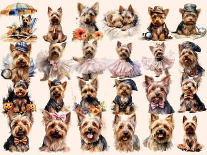 Australian Silky Terriers Watercolor Clipart australian silky png - Wonders Artist