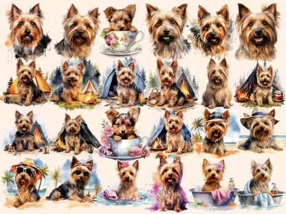Australian Silky Terriers Watercolor Clipart australian silky png - Wonders Artist
