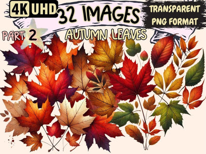 Autumn Leaves (P2) Clipart Autumn Leaf PNG - Wonders Artist