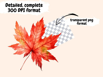 Autumn Leaves Watercolor Clipart autumn clipart - Wonders Artist