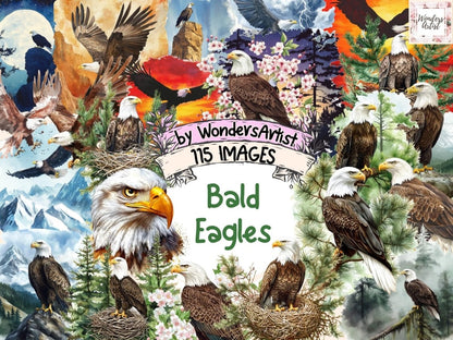 Bald Eagles Watercolor Clipart Bald Eagle Art - Wonders Artist