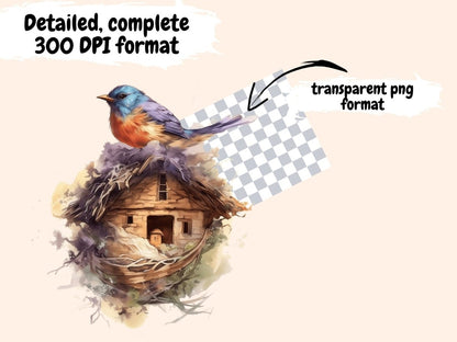 Bird Nests Watercolor Clipart bird clipart - Wonders Artist