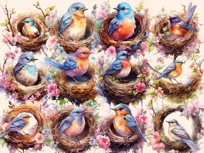 Bird Nests Watercolor Clipart bird clipart - Wonders Artist