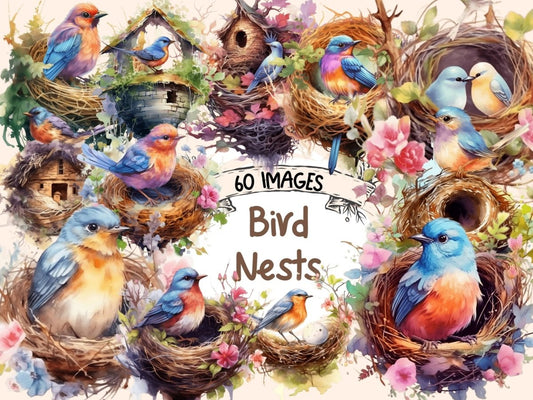 Bird Nests Watercolor Clipart bird clipart - Wonders Artist