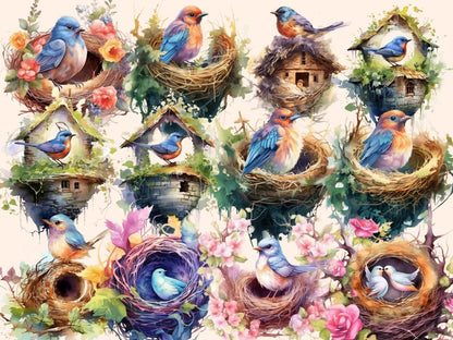 Bird Nests Watercolor Clipart bird clipart - Wonders Artist