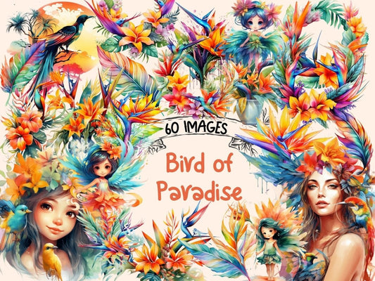 Bird of Paradise Watercolor Clipart bird of paradise art - Wonders Artist