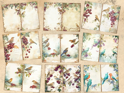 Birds & Berries Journal Pages (P1) Berries Ephemera - Wonders Artist