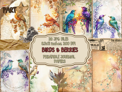 Birds & Berries Journal Pages (P2) Berries Ephemera - Wonders Artist