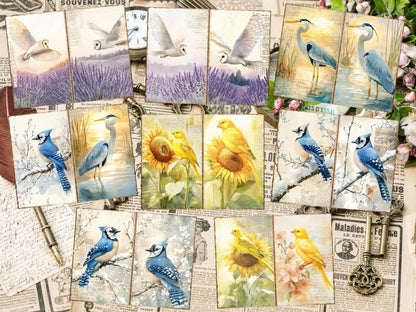 Bird's Grace Journal Pages (P1) Bird Ephemera - Wonders Artist