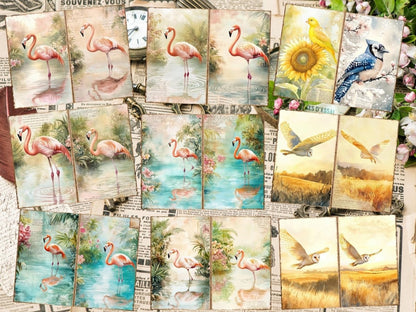 Bird's Grace Journal Pages (P1) - High - Quality Instant Digital Download for Creative Projects