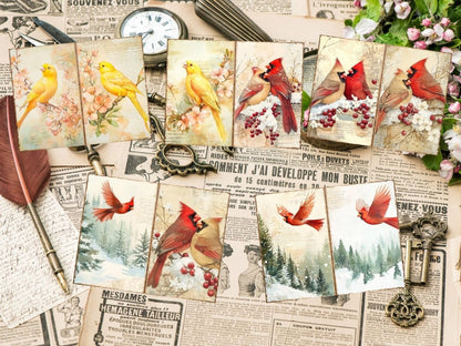 Bird's Grace Journal Pages (P1) Bird Ephemera - Wonders Artist