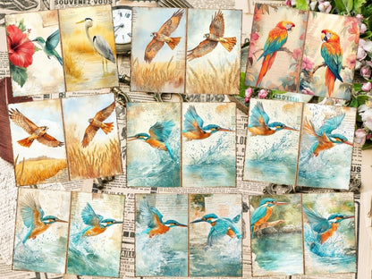 Bird's Grace Journal Pages (P2) Bird Ephemera - Wonders Artist