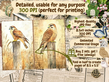 Bird's Grace Journal Pages (P2) Bird Ephemera - Wonders Artist