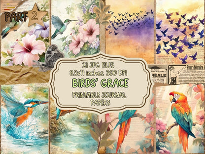 Bird's Grace Journal Pages (P2) Bird Ephemera - Wonders Artist