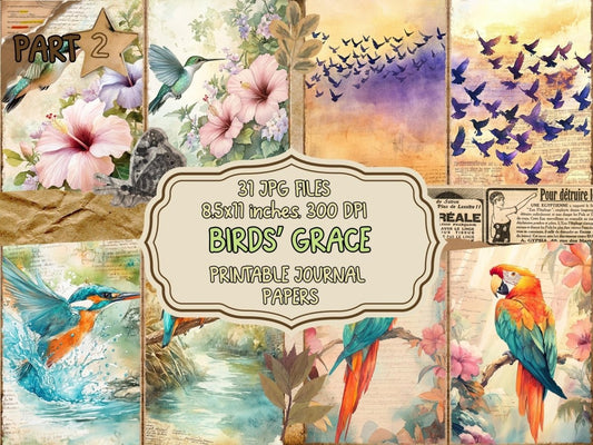 Bird's Grace Journal Pages (P2) Bird Ephemera - Wonders Artist