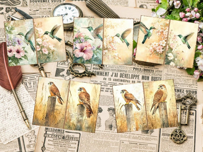 Bird's Grace Journal Pages (P2) Bird Ephemera - Wonders Artist
