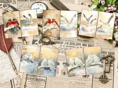 Bird's Grace Journal Pages (P3) Bird Ephemera - Wonders Artist