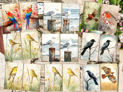 Bird's Grace Journal Pages (P4) Bird Ephemera - Wonders Artist