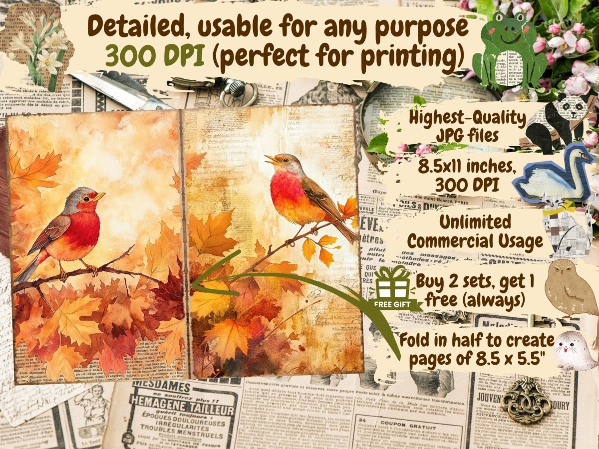 Bird's Grace Journal Pages (P4) Bird Ephemera - Wonders Artist