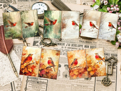 Bird's Grace Journal Pages (P4) Bird Ephemera - Wonders Artist