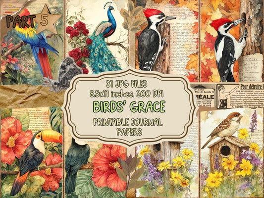 Bird's Grace Journal Pages (P5) Bird Ephemera - Wonders Artist