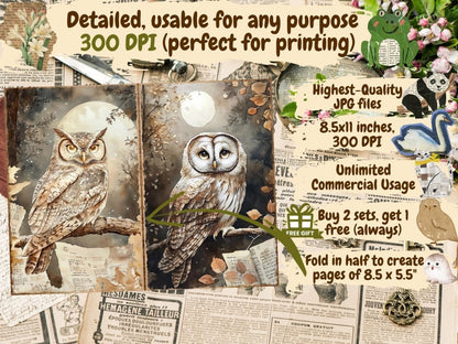 Bird's Grace Journal Pages (P6) Bird Ephemera - Wonders Artist