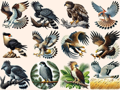 Birds of Prey (P2) Clipart Bird of Prey Icons - Wonders Artist