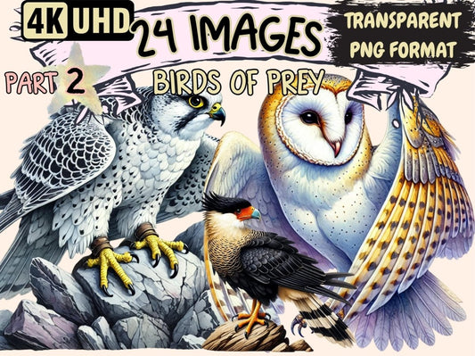 Birds of Prey (P2) Clipart Bird of Prey Icons - Wonders Artist
