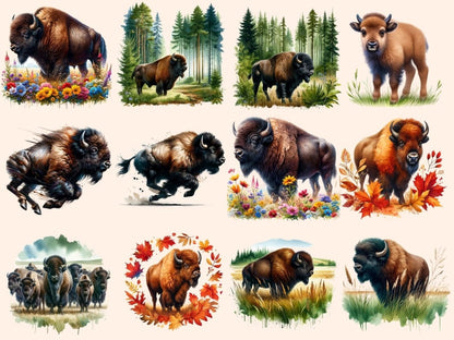 Bisons (P2) Clipart Bison clip art - Wonders Artist