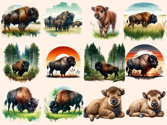 Klipart bizoni (P2).