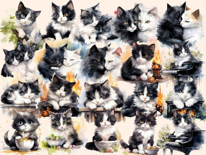 Black & White Cats Watercolor Clipart black and white cat - Wonders Artist