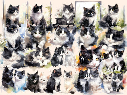 Black & White Cats Watercolor Clipart black and white cat - Wonders Artist