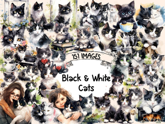 Black & White Cats Watercolor Clipart - High - Quality Instant Digital Download for Creative Projects