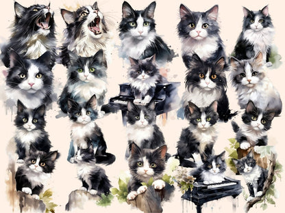 Black & White Cats Watercolor Clipart black and white cat - Wonders Artist