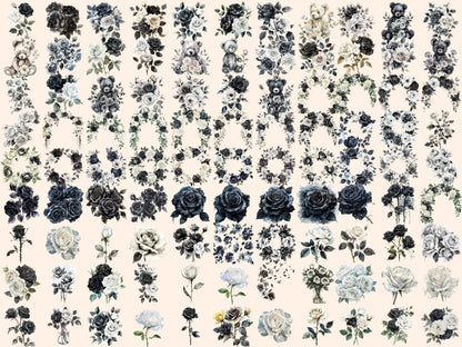 Black & White Roses Watercolor Clipart black and white png - Wonders Artist