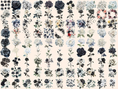 Black & White Roses Watercolor Clipart black and white png - Wonders Artist