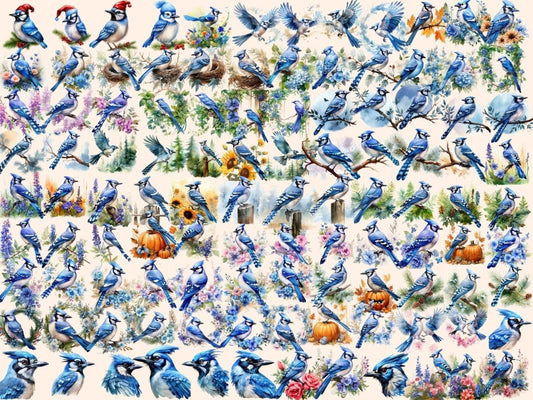 Blåmeis Akvarell Clipart