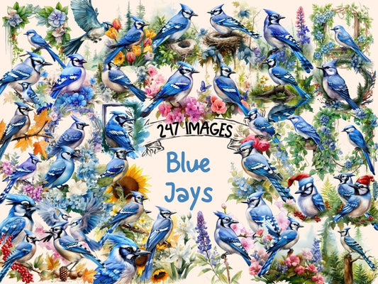 Blue Jays Watercolor Clipart bird clipart - Wonders Artist