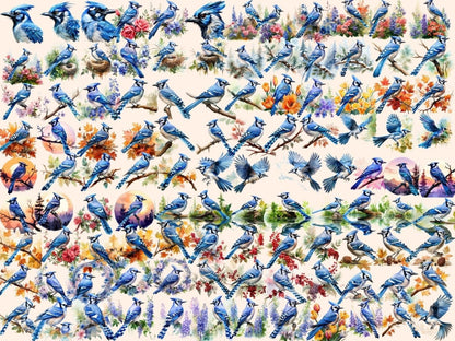 Blue Jays Watercolor Clipart bird clipart - Wonders Artist
