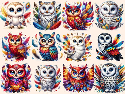 Boho Owls Clipart Boho clip art - Wonders Artist