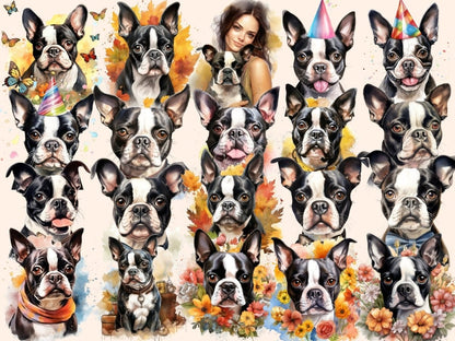 Boston Terriers Watercolor Clipart boston dog clipart - Wonders Artist