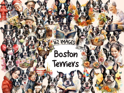 Boston Terriers Watercolor Clipart boston dog clipart - Wonders Artist