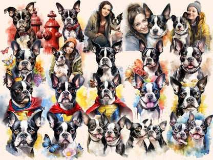 Boston Terriers Watercolor Clipart boston dog clipart - Wonders Artist