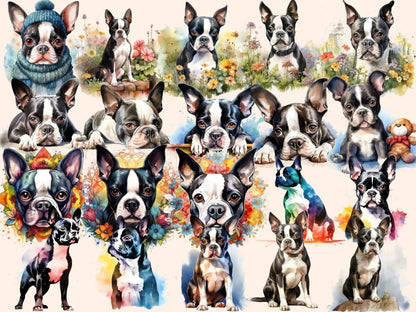 Boston Terriers Watercolor Clipart boston dog clipart - Wonders Artist