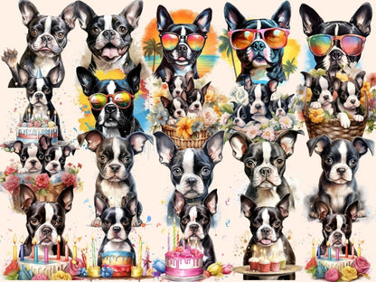 Boston Terriers Watercolor Clipart boston dog clipart - Wonders Artist
