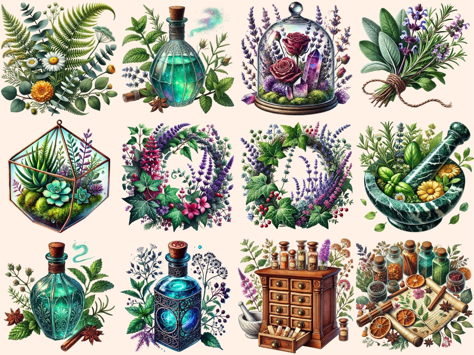 Botany & Apothecary Clipart - High - Quality Instant Digital Download for Creative Projects